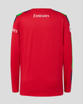 Back view of red long sleeve junior cricket jersey with Emirates across the upper back and green and navy sleeve accents