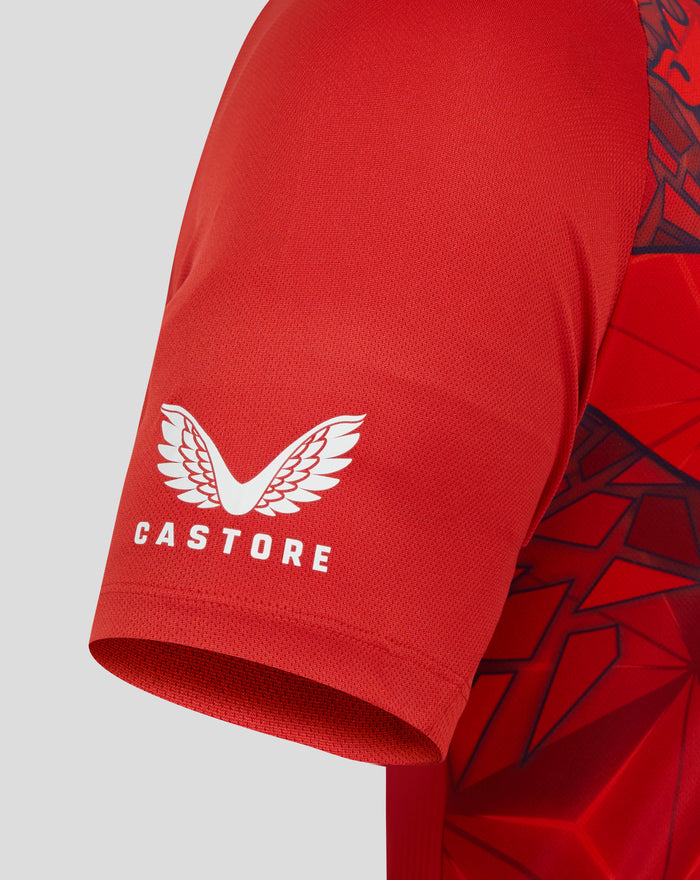 Close up of lower back area on the red World Cup shirt showing Castore branding and wing emblem.